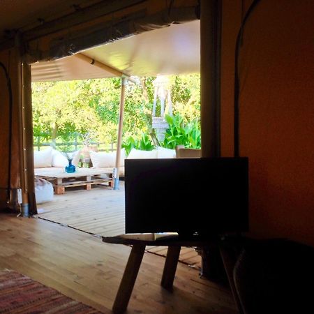 Campo Portakal Eco Glamping 호텔 Çıralı 객실 사진