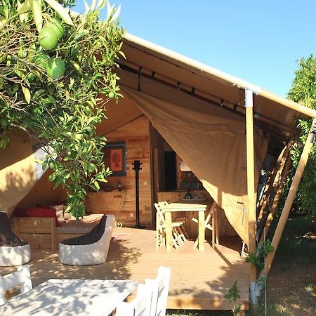 Campo Portakal Eco Glamping 호텔 Çıralı 객실 사진