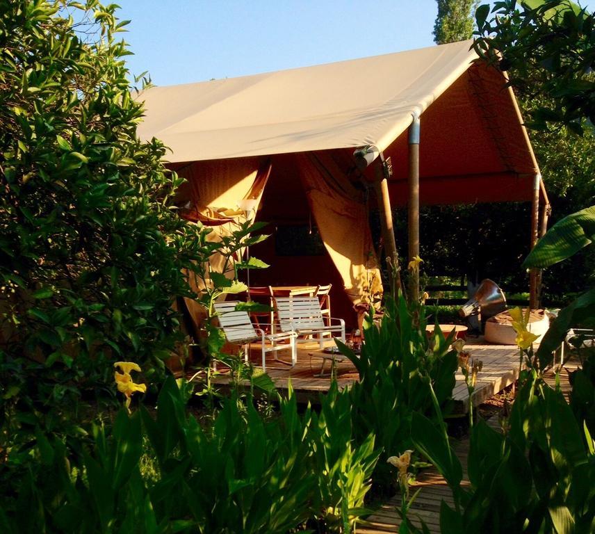 Campo Portakal Eco Glamping 호텔 Çıralı 객실 사진