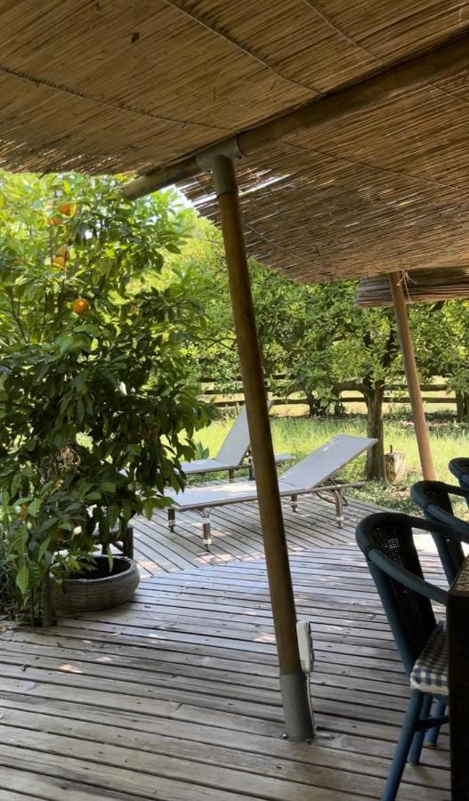 Campo Portakal Eco Glamping 호텔 Çıralı 외부 사진