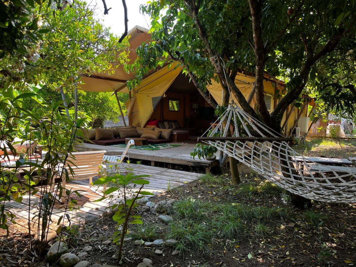 Campo Portakal Eco Glamping 호텔 Çıralı 외부 사진