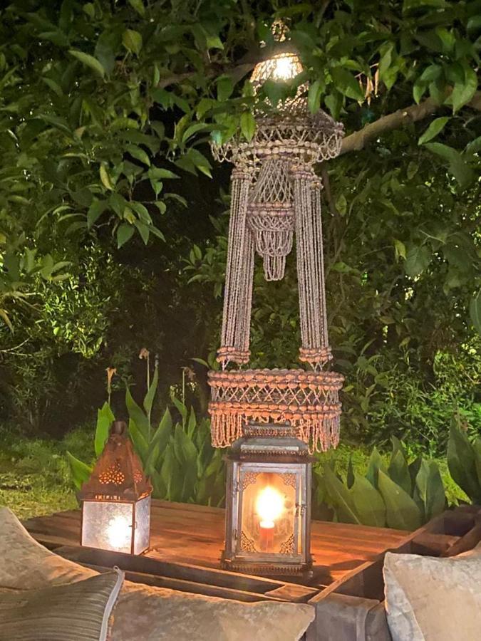 Campo Portakal Eco Glamping 호텔 Çıralı 외부 사진