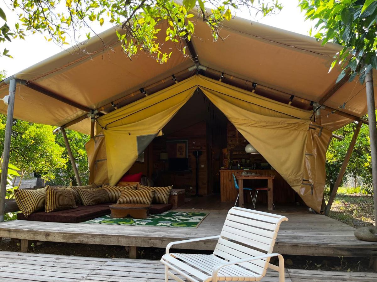 Campo Portakal Eco Glamping 호텔 Çıralı 외부 사진