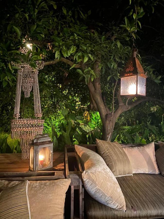 Campo Portakal Eco Glamping 호텔 Çıralı 외부 사진
