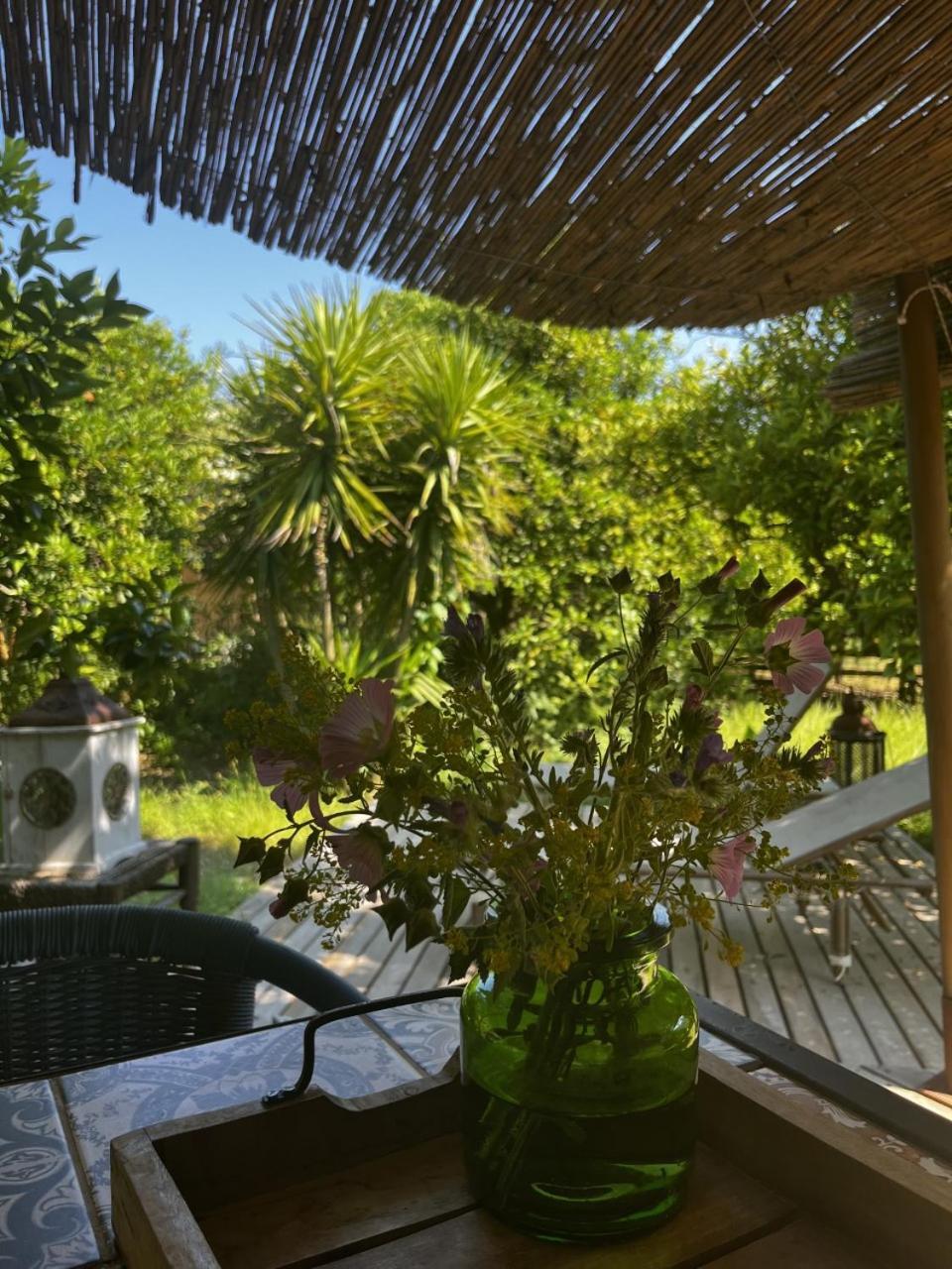 Campo Portakal Eco Glamping 호텔 Çıralı 객실 사진