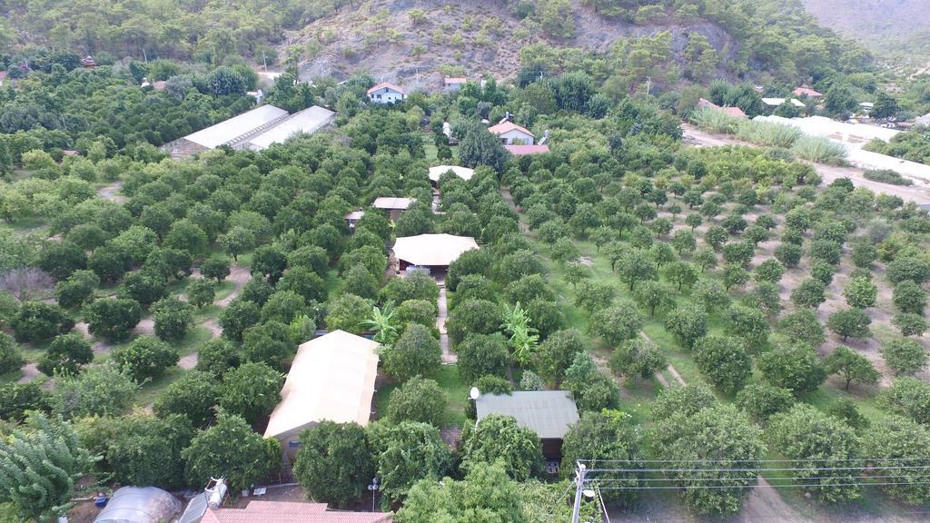 Campo Portakal Eco Glamping 호텔 Çıralı 외부 사진